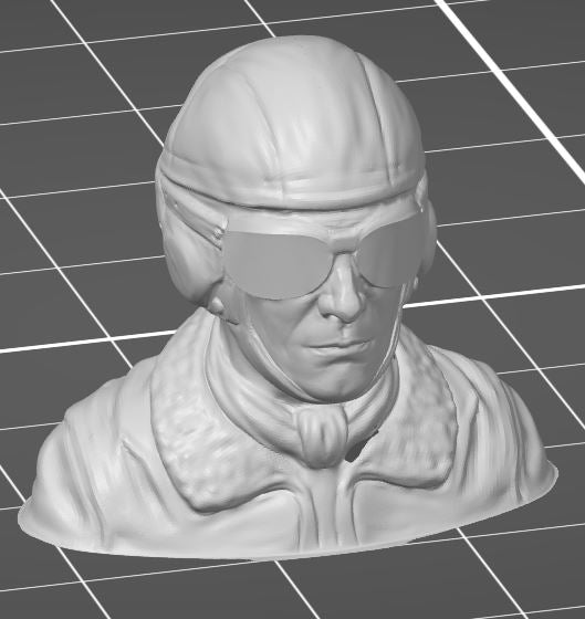 3D-printed pilot bust  (custom sizes available)