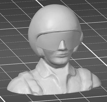 3D-printed pilot bust  (custom sizes available)