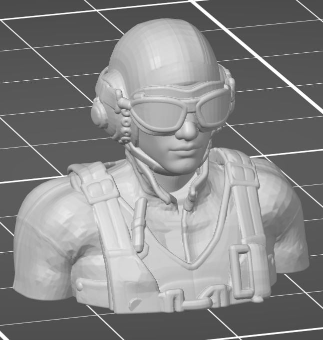 3D-printed pilot bust  (custom sizes available)