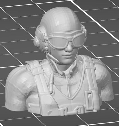 3D-printed pilot bust  (custom sizes available)