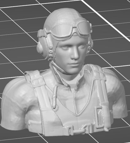 3D-printed pilot bust  (custom sizes available)