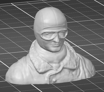 3D-printed pilot bust  (custom sizes available)