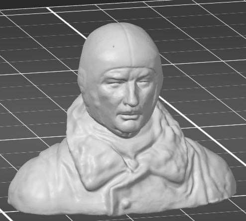 3D-printed pilot bust  (custom sizes available)