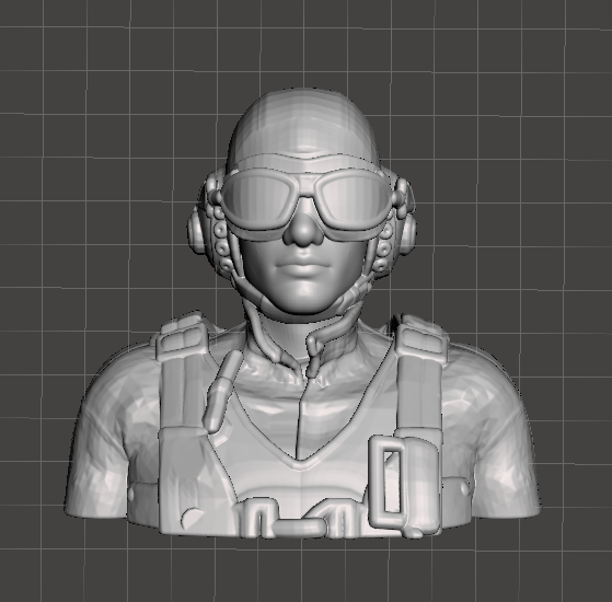 3D-printed pilot bust  (custom sizes available)